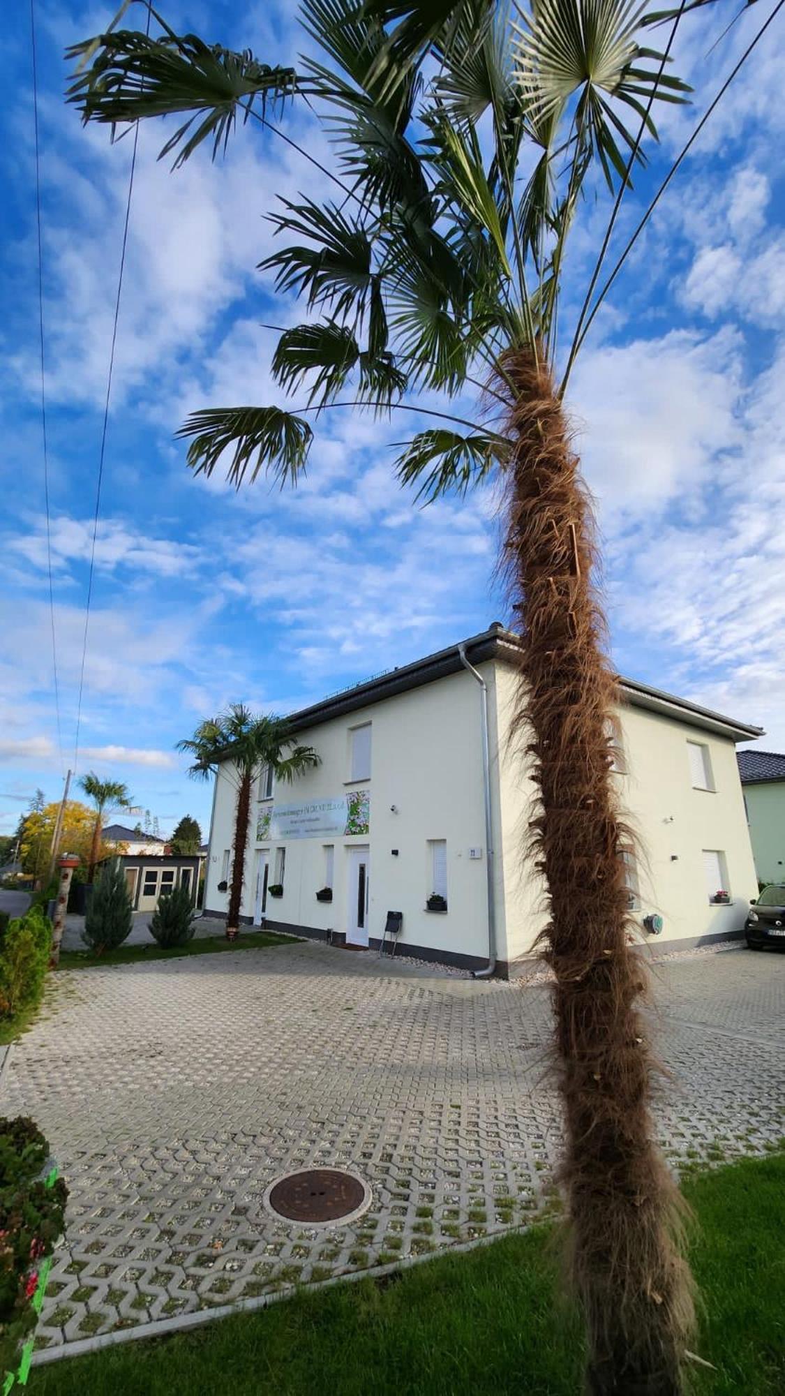 Ferienwohnungen Im Grund 22, 22A, 22C Birkenstein Hoppegarten Bagian luar foto